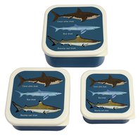 Rex London Trio krabiček na svačinu Žraloci